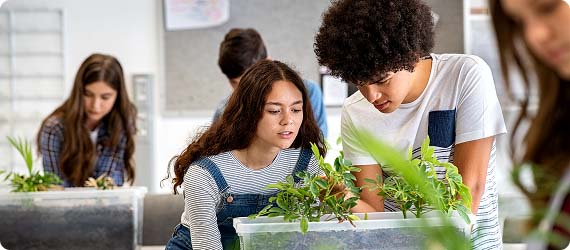 Students in a science classroom studying plants growing in a container