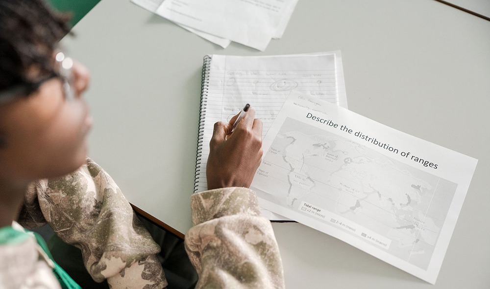 Student sat in classroom at desk, making notes and with a worksheet titled 'Describe the distribution of ranges'
